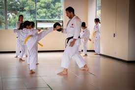Aprende karate con tu móvil: guía práctica