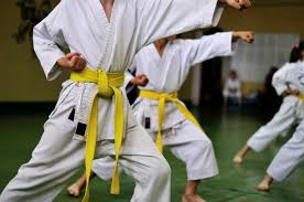 Aprende karate desde casa con nueva aplicación