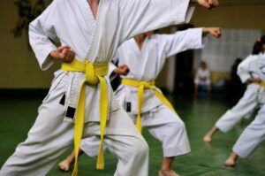 App Innovadora para Aprender Karate Fácilmente