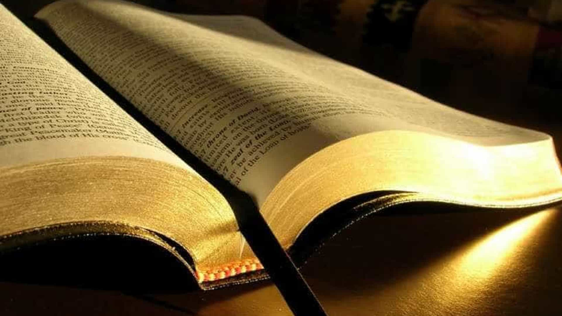 Biblia Diaria: Versículos Sin Conexión Internet