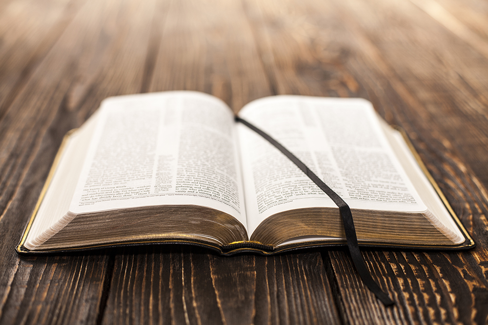 Biblia Digital: Lee y Escucha sin Conexión