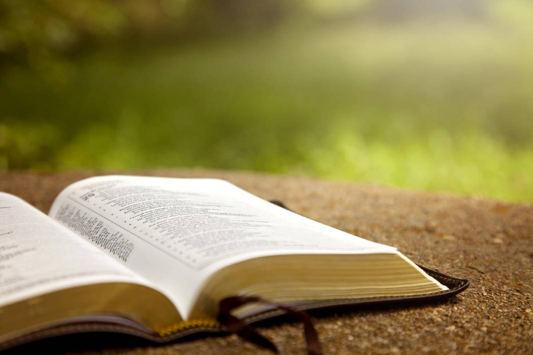 Biblia Diaria: Lecturas Sin Conexión Internet