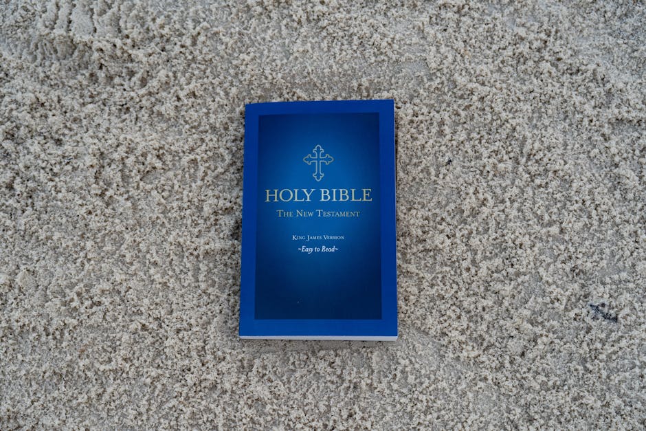 Biblia Diaria: Lecturas Sin Conexión Internet