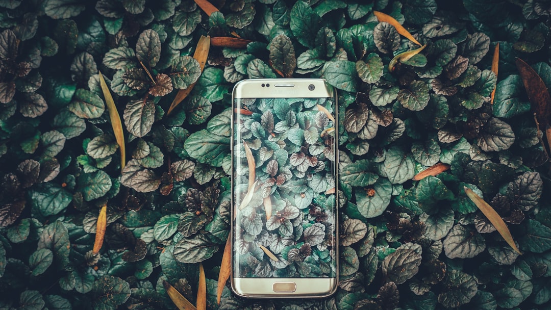 Aplicación para identificar tipos de plantas fácilmente