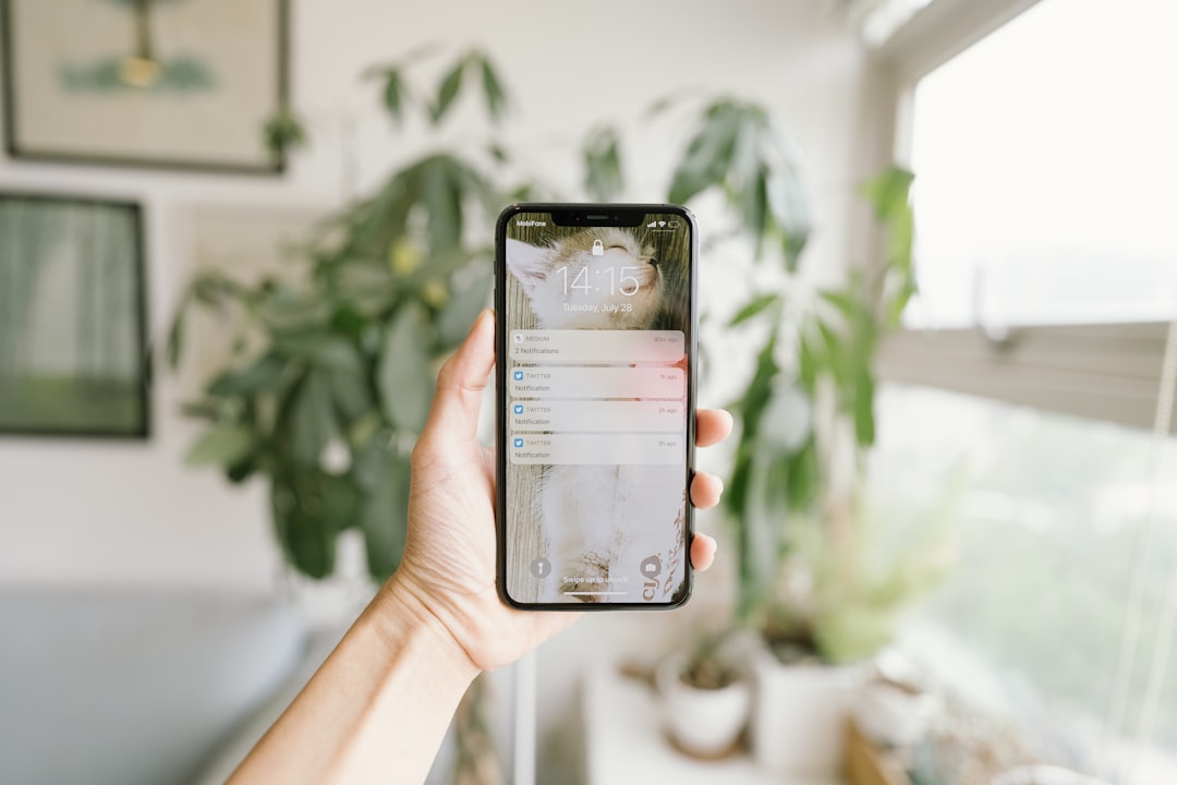 Aplicación para Identificar Tipos de Plantas con Precisión