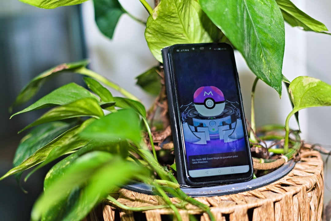 Aplicación para Identificar y Clasificar Tipos de Plantas