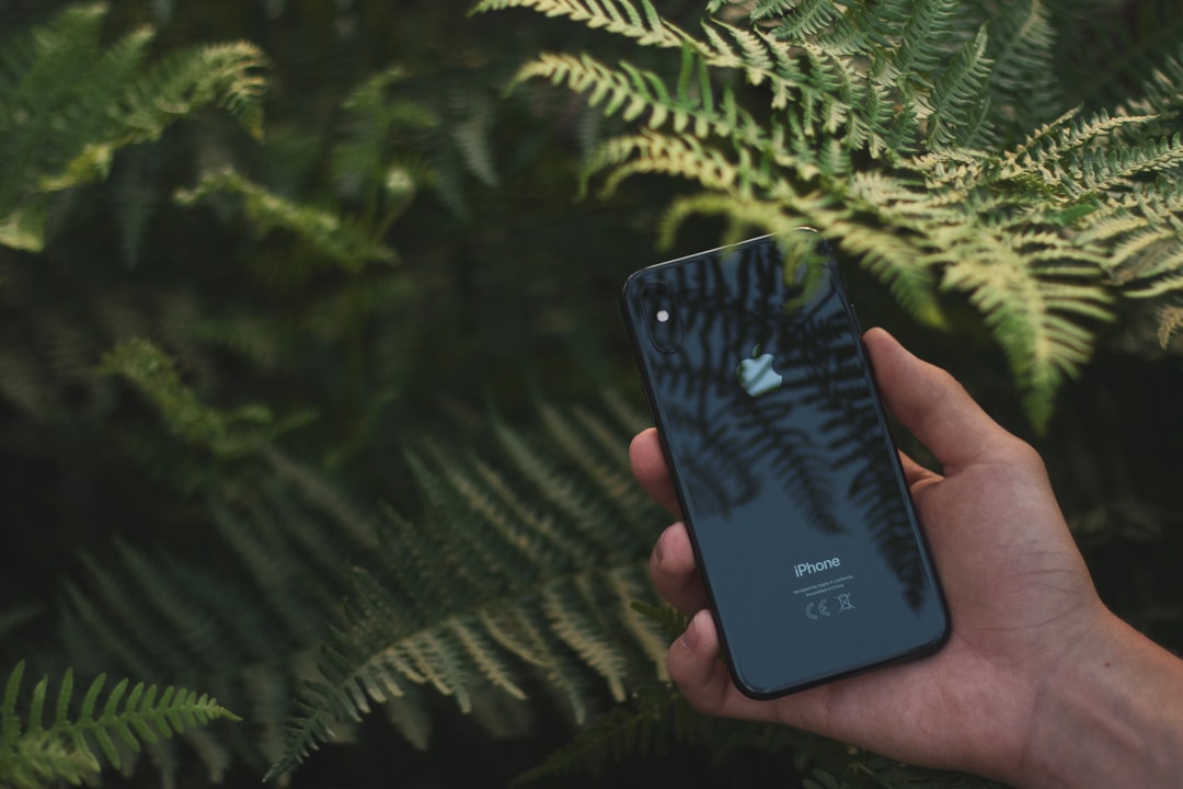 Aplicación para identificar tipos de plantas con precisión